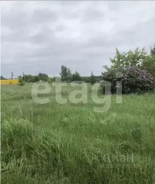 Участок в Алтайский край, Первомайский район, с. Санниково, Овощевод ...