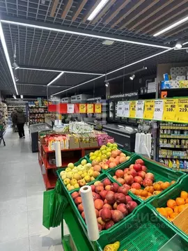 Торговая площадь в Челябинская область, Челябинск Грани жилой комплекс ...