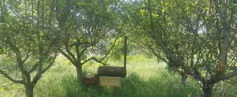 Участок в Ростовская область, Аксайский район, Грушевская ст-ца ...