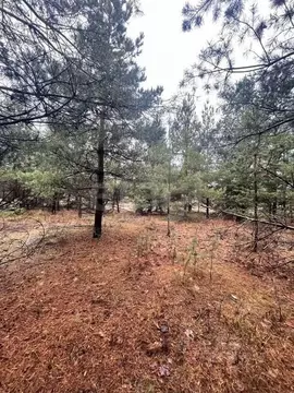 Участок в Воронежская область, Рамонский район, Айдаровское с/пос, с. ...