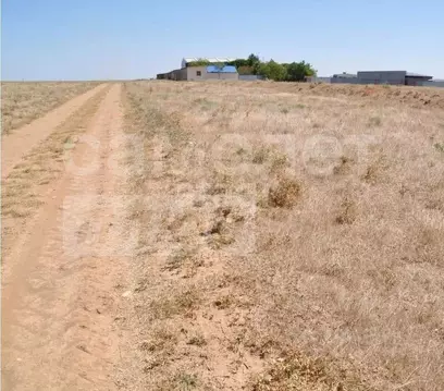 Участок в Крым, Сакский район, Суворовское с/пос, с. Великое  (8.0 ...