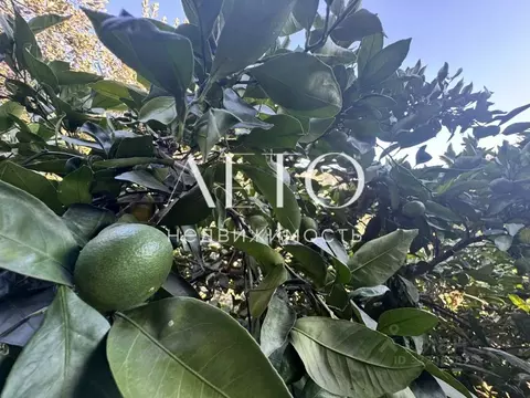 Участок в Краснодарский край, Сочи ул. Искры, 2 (5.5 сот.)