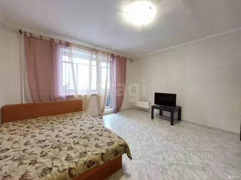 2-к кв. Пермский край, Пермь ул. Строителей, 36/1 (54.8 м)