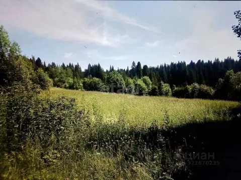 Участок в Пермский край, Добрянка пос. Лесников,  (12.0 сот.)