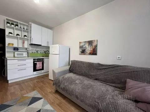 Студия Новосибирская область, Новосибирск ул. Петухова, 99 (21.0 м)