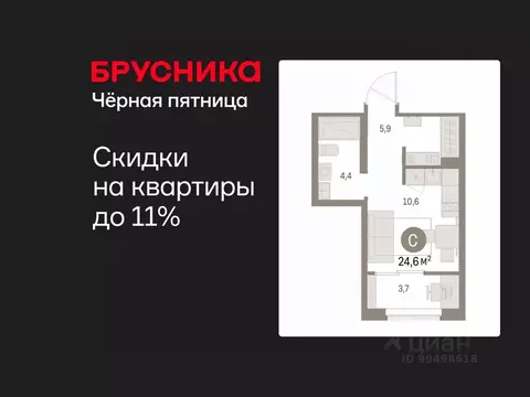 Студия Курганская область, Курган Центральный жилрайон, Дом Кино жилой ...