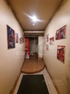 Помещение свободного назначения в Воронежская область, Воронеж ул. ...