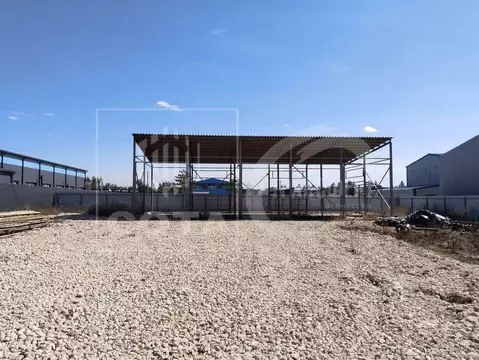 Участок в Воронежская область, Рамонский район, Новоживотинновское ...