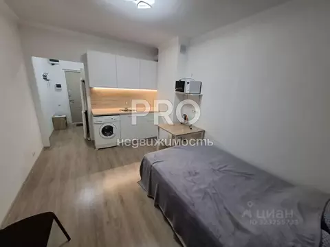 Студия Ярославская область, Ярославль Шандорная ул., 14 (19.5 м)