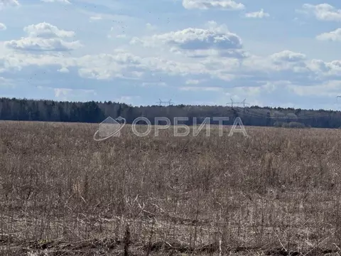 Участок в Тюменская область, Тюменский муниципальный округ, Каменское ...