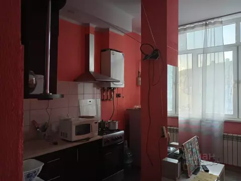 Студия Краснодарский край, Сочи Виноградная ул., 224/4 (25.0 м)