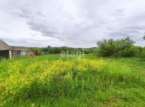 Участок в Белгородская область, Алексеевский муниципальный округ, с. ...