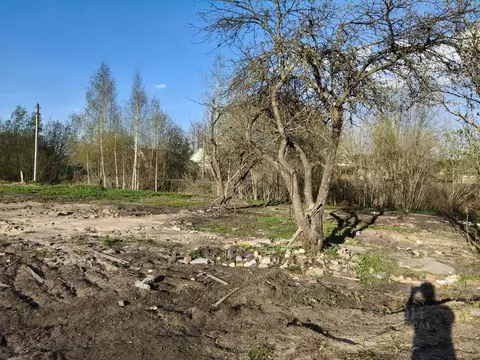 Участок в Московская область, Талдомский городской округ, Вербилки пгт ...