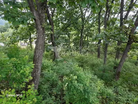 Участок в Приморский край, Находка  (11.0 сот.)