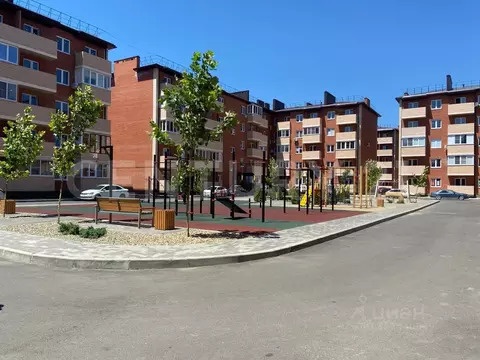 Студия Адыгея, Тахтамукайский район, Старобжегокайское с/пос, Новая ...