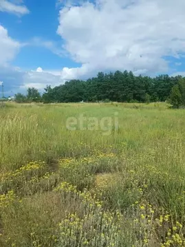 Участок в Воронежская область, Рамонский район, Новоживотинновское ...