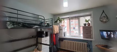 Студия Свердловская область, Екатеринбург ул. Сурикова, 47 (17.9 м)