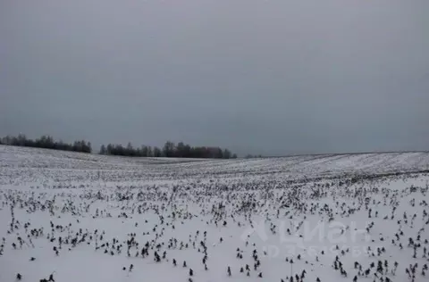Участок в Московская область, Шаховская муниципальный округ, с. Середа ...
