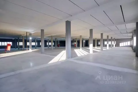 Склад в Санкт-Петербург, Санкт-Петербург, Красное Село ул. Свободы, ...