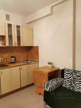 Студия Нижегородская область, Нижний Новгород бул. Южный, 13 (20.1 м)