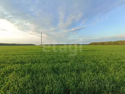 Участок в Тюменская область, Тюменский муниципальный округ, с. ...