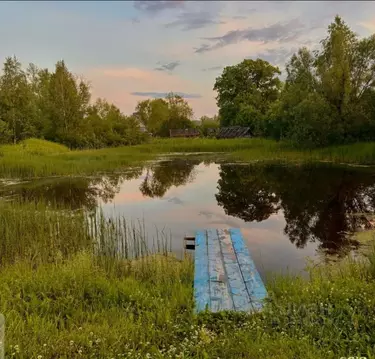 Участок в Нижегородская область, Дальнеконстантиновский муниципальный ...