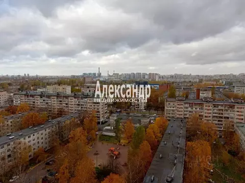 2-к кв. Санкт-Петербург Народная ул., 53к3 (58.0 м)