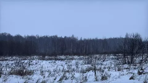 Участок в Московская область, Кашира городской округ, д. Никулино  ...