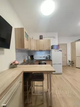 Студия Санкт-Петербург ул. Плесецкая, 20к1 (24.7 м)