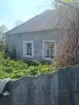 Дом в Белгородская область, Вейделевка рп ул. Пролетарская, 49 (39 м)