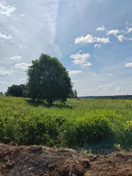 Участок в Московская область, Можайский муниципальный округ, д. ...
