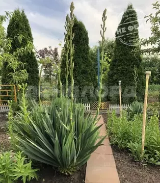 Дом в Ростовская область, Ростов-на-Дону Гороховый пер. (88 м)