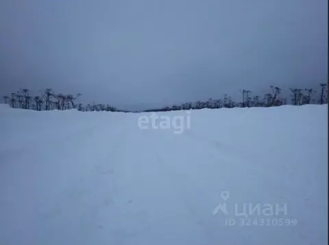 Участок в Пермский край, Пермский муниципальный округ, с. Курашим  ...