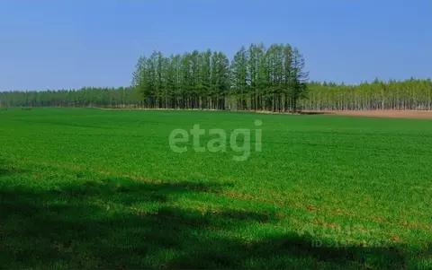 Участок в Владимирская область, Муром д. Ожигово,  (479.0 сот.)