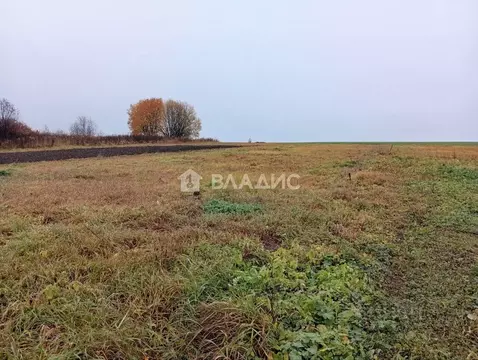 Участок в Владимирская область, Суздальский район, Селецкое ...