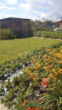 Дом в Новосибирская область, Бердск Ягодка СНТ, 112 (60 м)