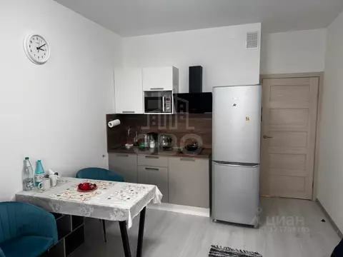 Студия Санкт-Петербург ул. Верхне-Каменская, 11к1 (24.5 м)