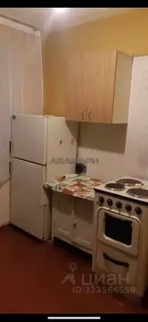 1-к кв. Красноярский край, Красноярск ул. Академгородок, 5 (30.0 м)