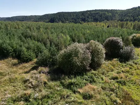Участок в Иркутская область, Иркутский муниципальный округ, д. ...