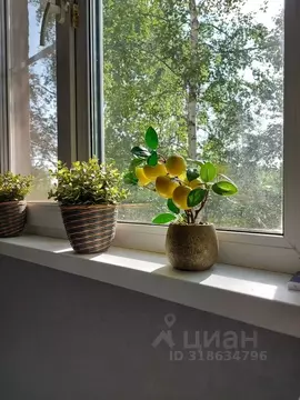 1-к кв. Ярославская область, Ростов 1-й мкр, 21 (29.0 м)