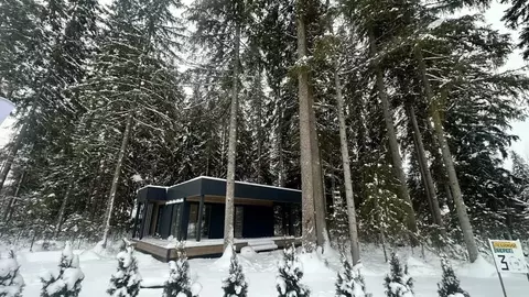 Дом в Ленинградская область, Выборгский район, Рощинское городское ...