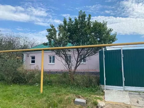 Дом в Воронежская область, с. Новая Усмань ул. Луговая, 61 (60 м)