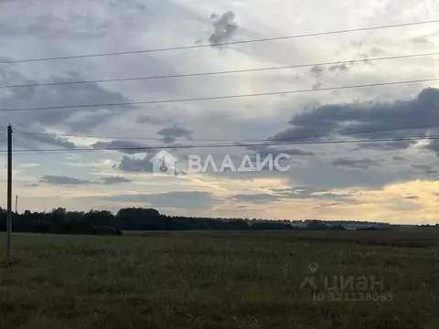 Участок в Пензенская область, с. Бессоновка, Рябинушка садоводческое ...