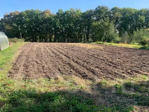 Участок в Хабаровский край, Имени Лазо район, Хор рп  (12.0 сот.)