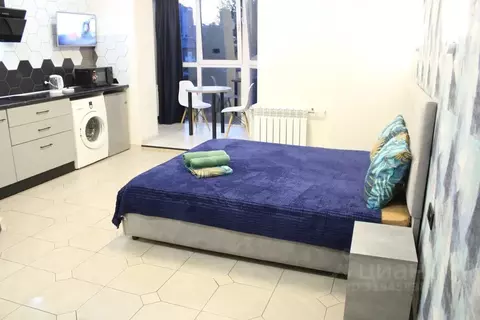 1-к кв. Алтайский край, Барнаул ул. Никитина, 107 (25.0 м)