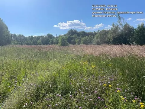 Участок в Московская область, Клин городской округ, д. Напругово  (8.4 ...