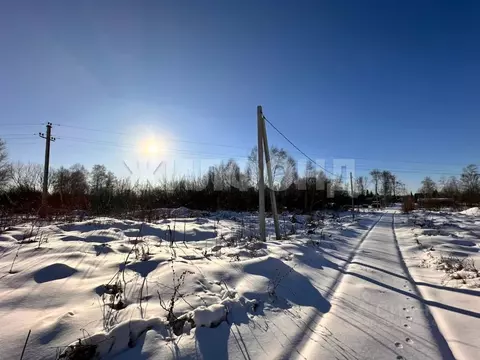 Участок в Новосибирская область, Новосибирский район, Кубовинский ...
