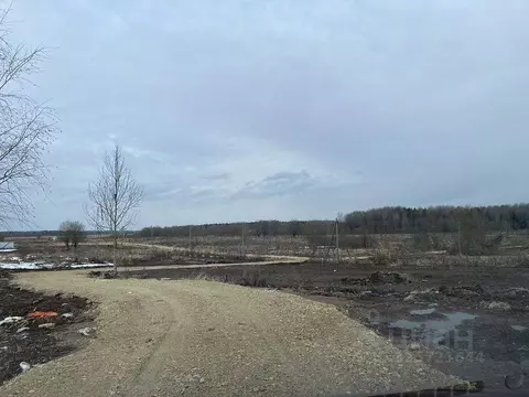 Участок в Ленинградская область, Киришский район, Пчевское с/пос, д. ...