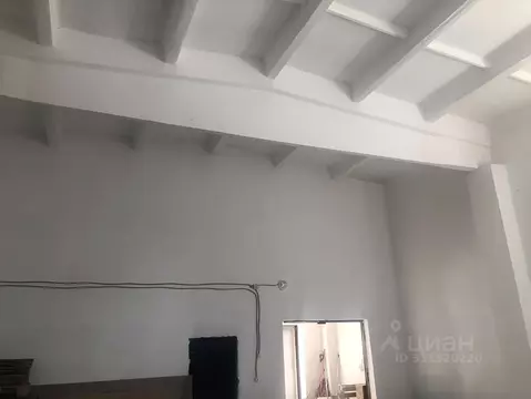 Помещение свободного назначения в Челябинская область, Чебаркульский ...