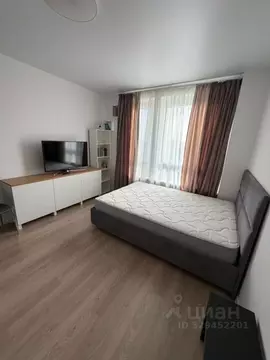 Студия Московская область, Красногорск ул. Видная, 5 (24.0 м)